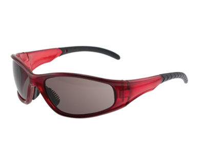 Picture of VisionSafe -242SARDSD - Smoke Hard Coat safety glass
